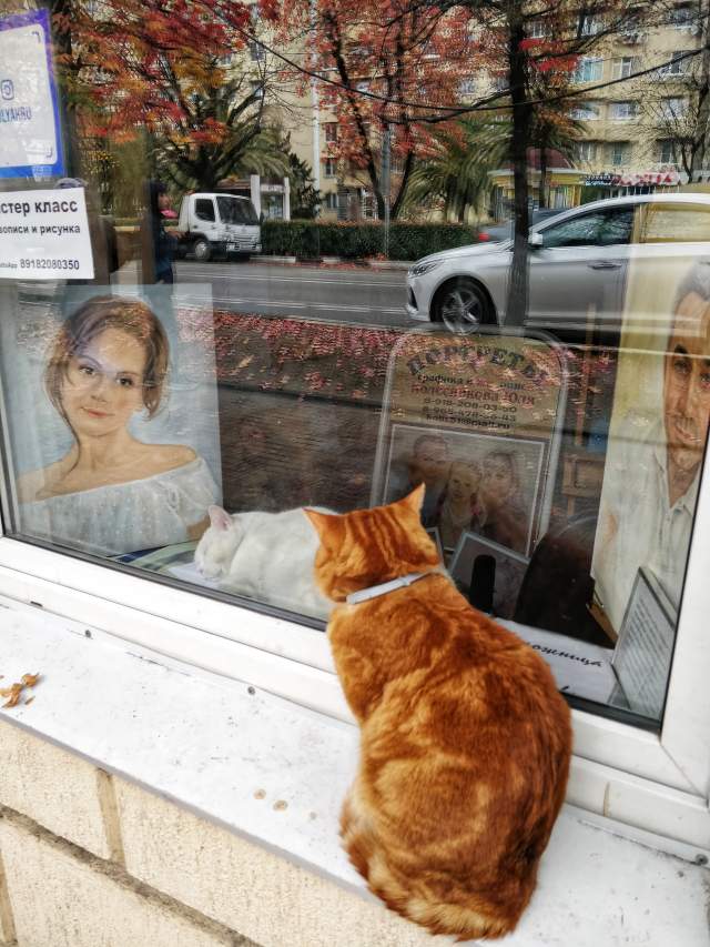 Фото 3 Фото 3