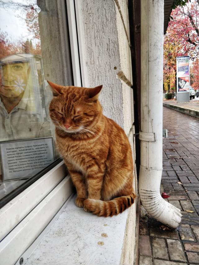 Фото 4 Фото 4