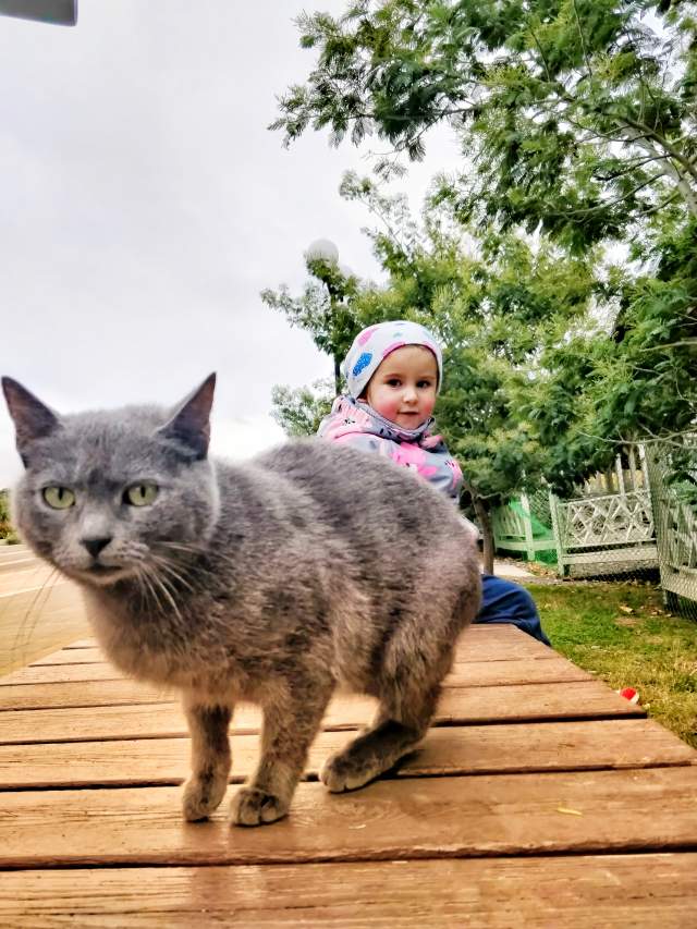 Фото 5 Фото 5