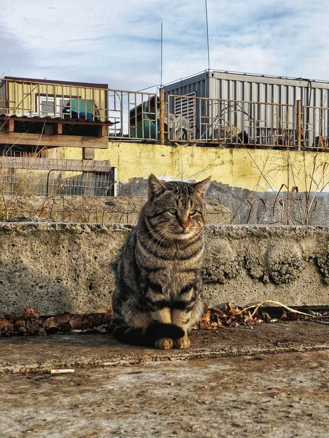 Фото 6 Фото 6