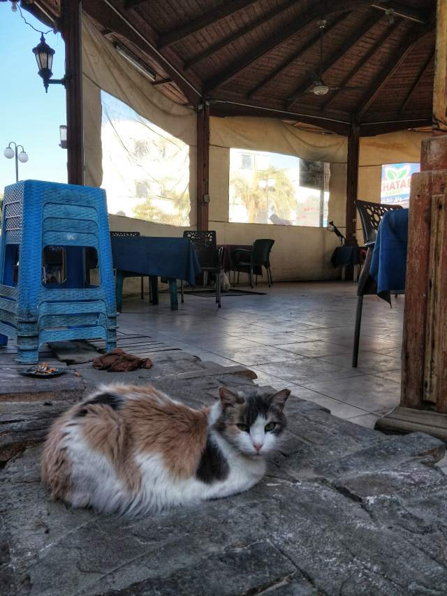 Фото 9 Фото 9