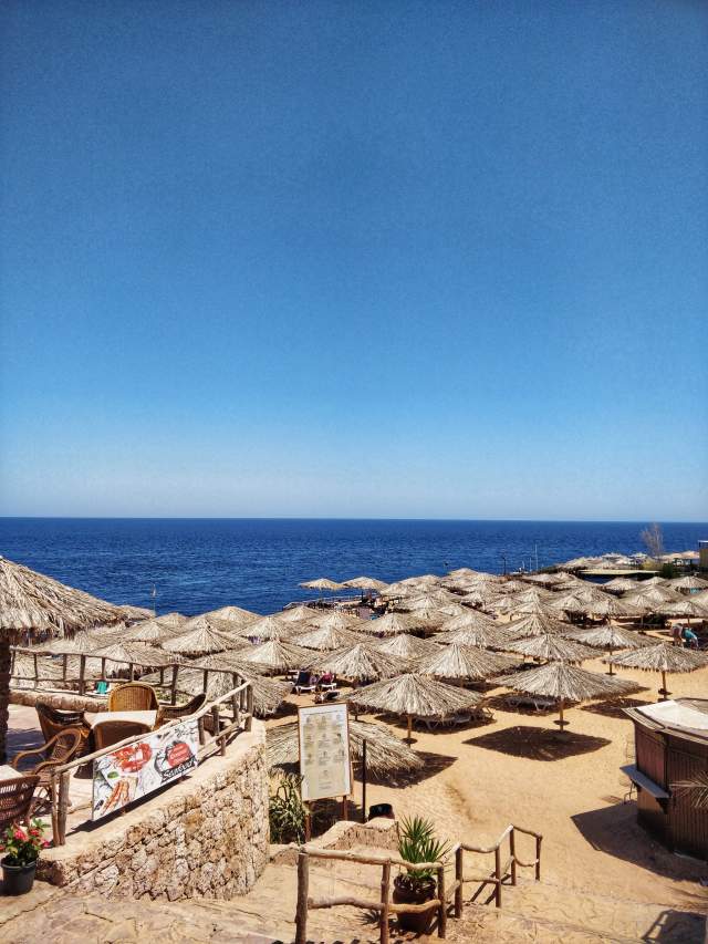 Фото 1 Фото 1