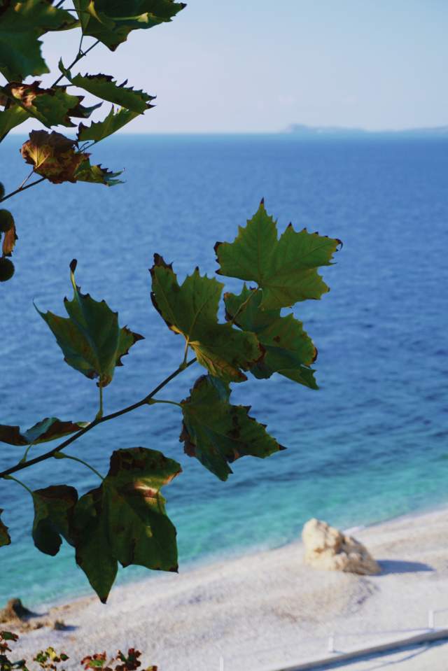 Фото 5 Фото 5