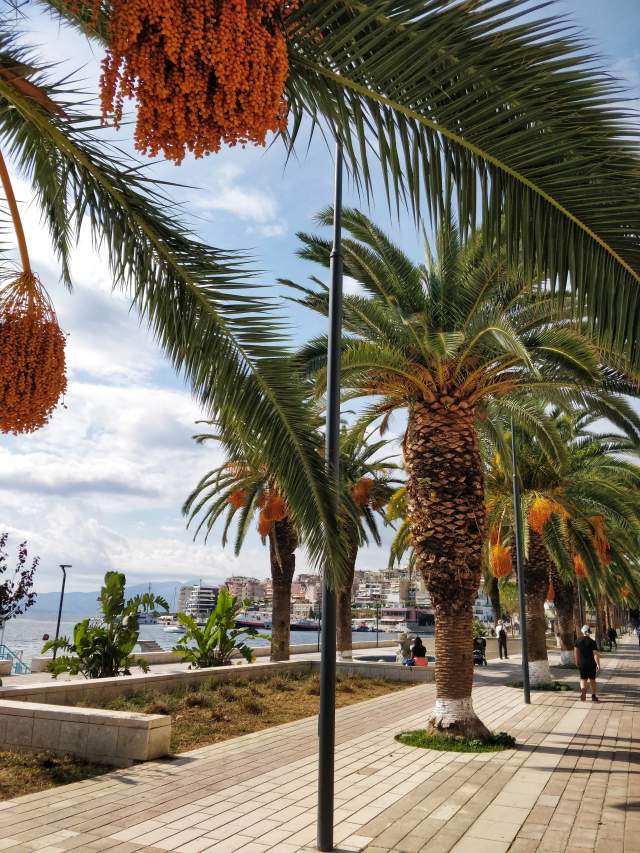 Фото 4 Фото 4