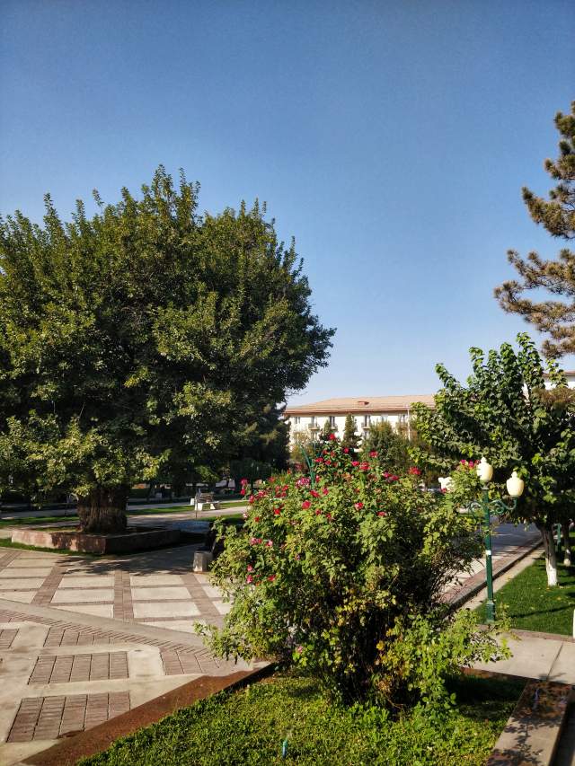 Фото 5 Фото 5