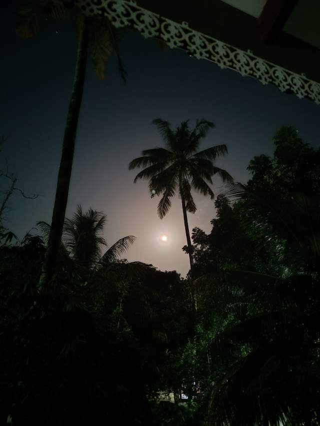 Фото 1 Фото 1