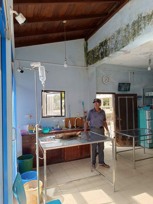 Помощник-уборщик, брил кошку опасным лезвием вручную Помощник-уборщик, брил кошку опасным лезвием вручную