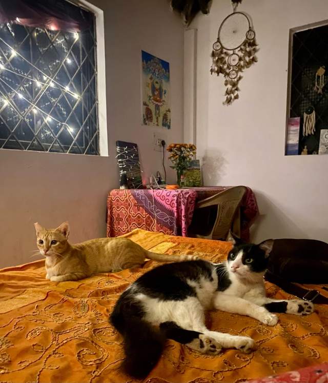 Фото 1 Фото 1