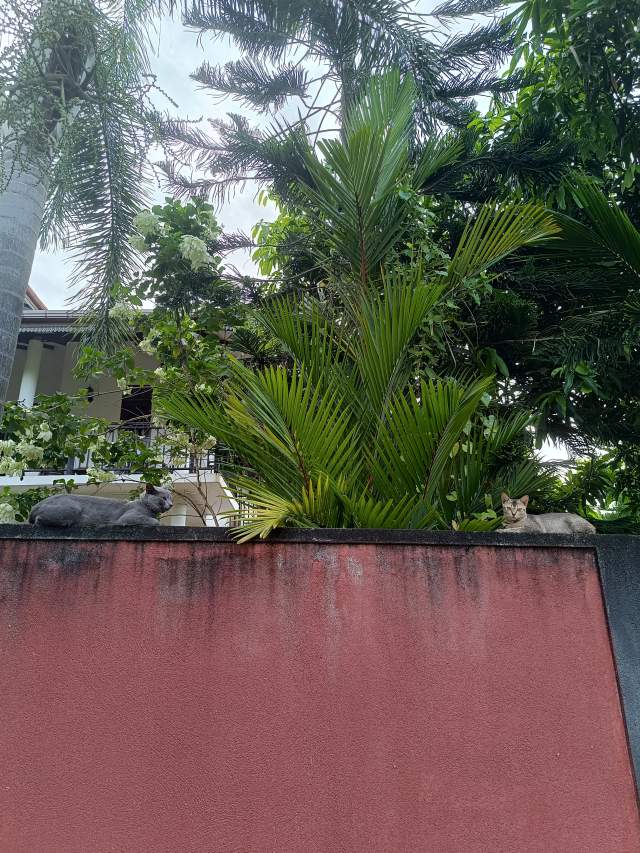 16.30   ,      ,   " "