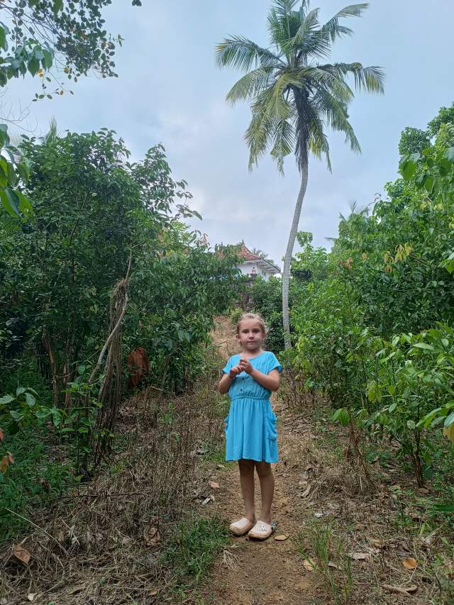 16.35        -        .      .