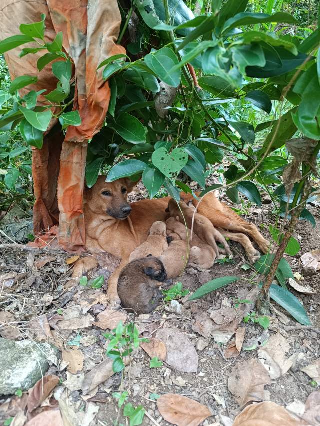 16.37                .  , ,    