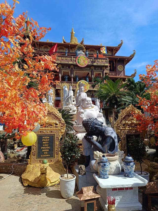 ������� ����