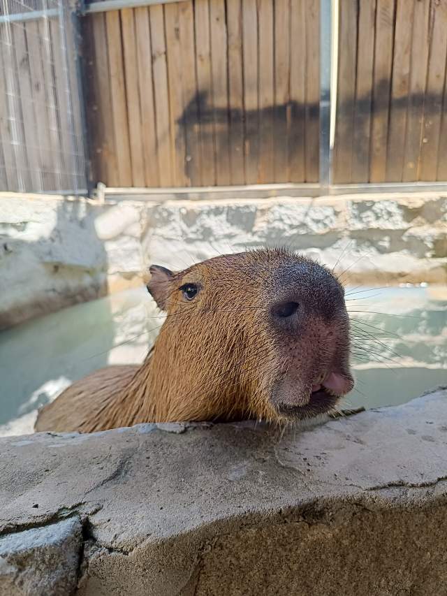 ���� 10