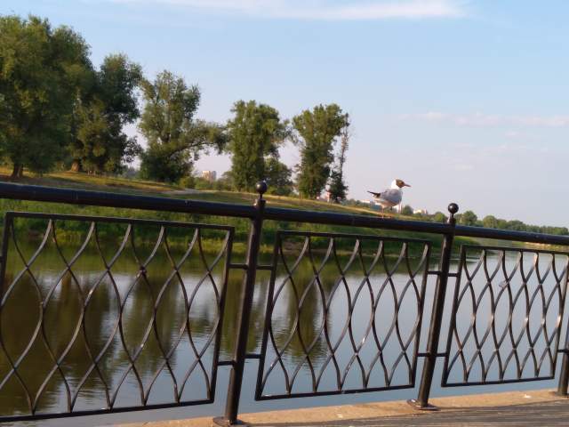 Фото 2 Фото 2