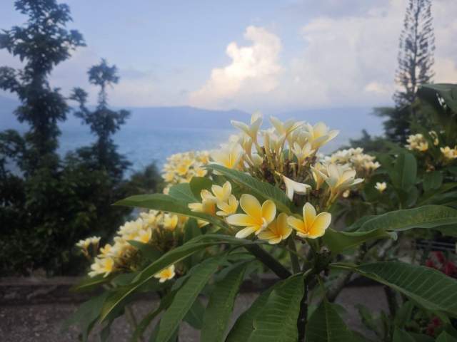 Фото 1 Фото 1