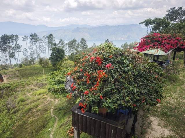 Фото 2 Фото 2