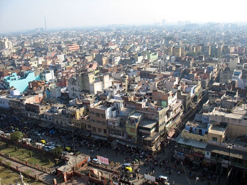 Муравейник Дели Муравейник Дели