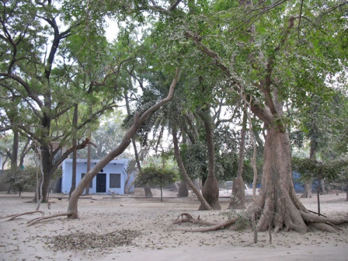 Татьястхан - место во Вриндаване, где еше сохранилась природа Вриндавана. Татьястхан - место во Вриндаване, где еше сохранилась природа Вриндавана.