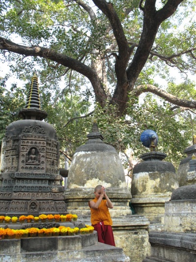 Молитвы в Бодхгайе Молитвы в Бодхгайе