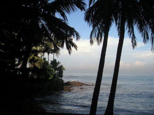 Отель Mount Lavinia. Пляж. Отель Mount Lavinia. Пляж.