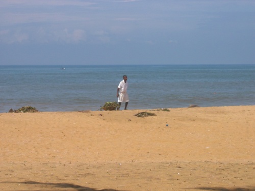 Отель Mount Lavinia. Уборщик мусора. Отель Mount Lavinia. Уборщик мусора.