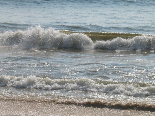 Отель Mount Lavinia. Океан. Отель Mount Lavinia. Океан.