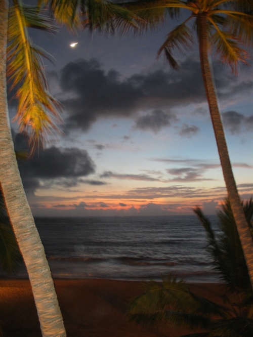 Отель Mount Lavinia. Закат. Отель Mount Lavinia. Закат.