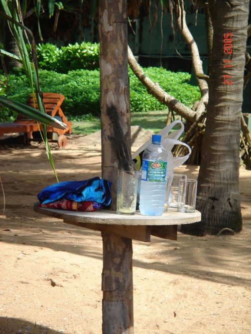 Отель Mount Lavinia. Пляж. Бурундук. Отель Mount Lavinia. Пляж. Бурундук.