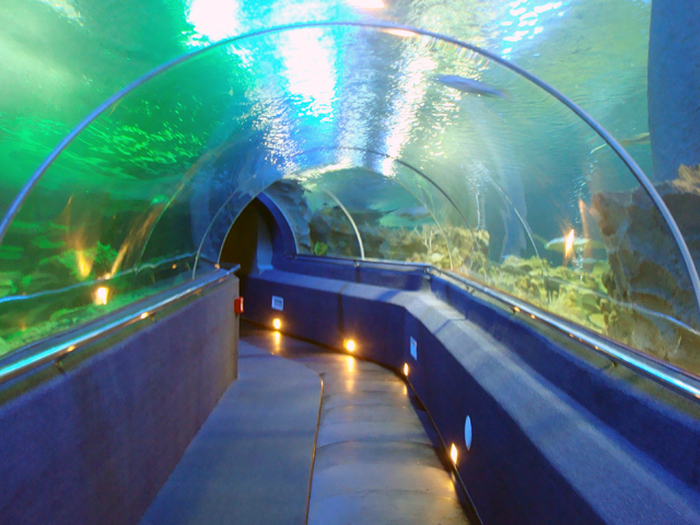 Vinpearl океанариум Vinpearl океанариум