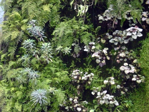 Фото 2 Фото 2