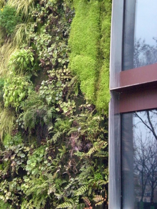 Фото 3 Фото 3