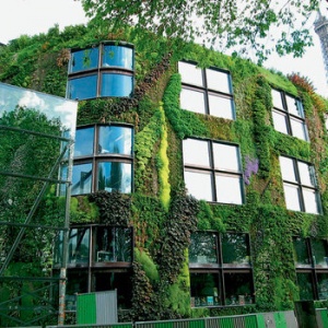 Фото 4 Фото 4