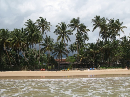 Гест Ocean Moon Гест Ocean Moon