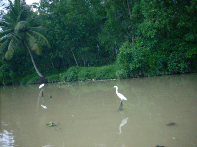 снято с лодки снято с лодки