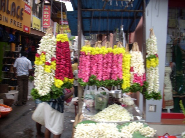 Тривандрум Тривандрум