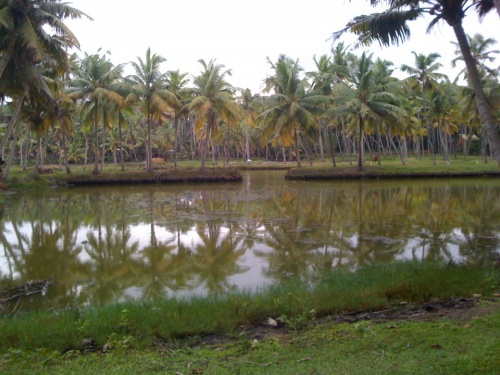 Тамил Наду Тамил Наду