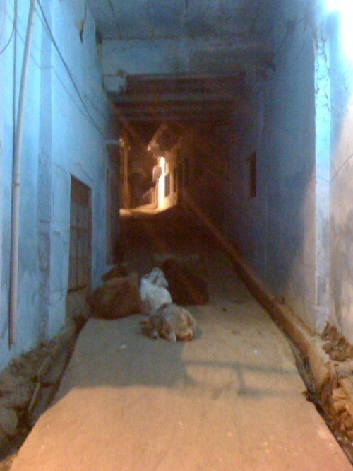 Ночь в городе Ночь в городе