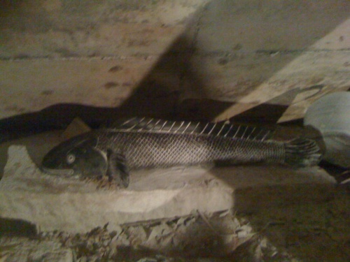 там же. там же.