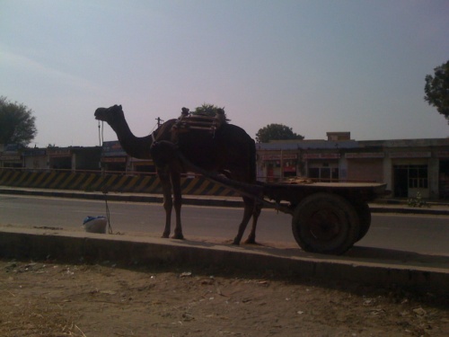 Распространённый транспорт в шт Гуджарат Распространённый транспорт в шт Гуджарат