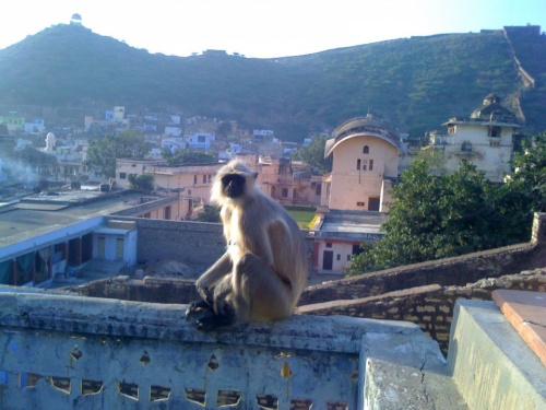 Интересуется моим завтраком Интересуется моим завтраком