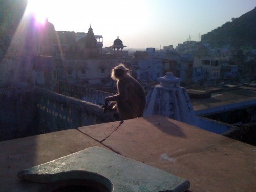 Раджастан Раджастан