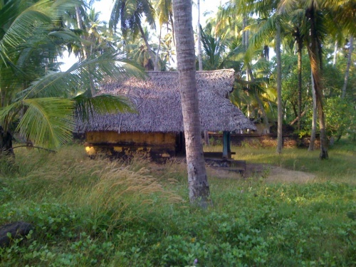 Фото 12 Фото 12