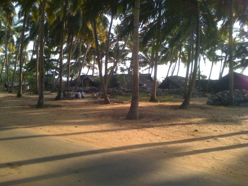 Фото 13 Фото 13