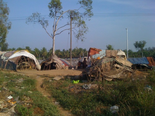 Фото 14 Фото 14