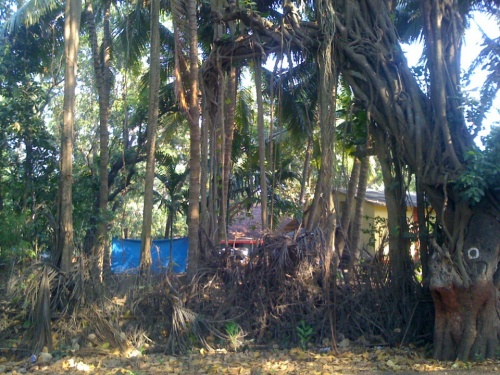 Фото 18 Фото 18