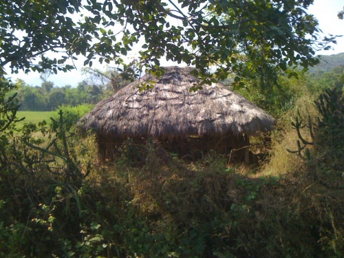 Фото 5 Фото 5