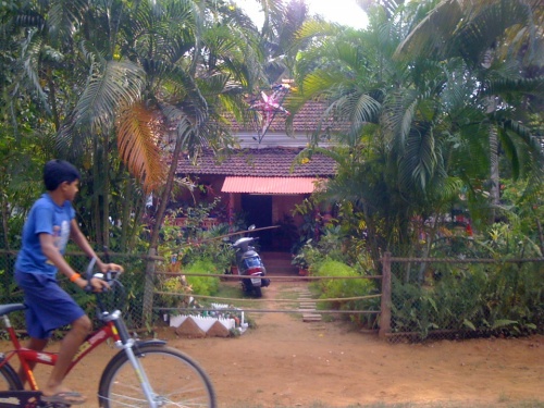 Фото 10 Фото 10