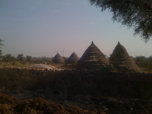 Фото 13 Фото 13