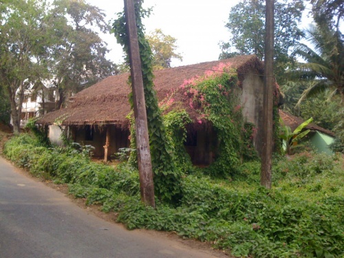 Фото 5 Фото 5