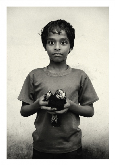 The Boy with a Pigeon.